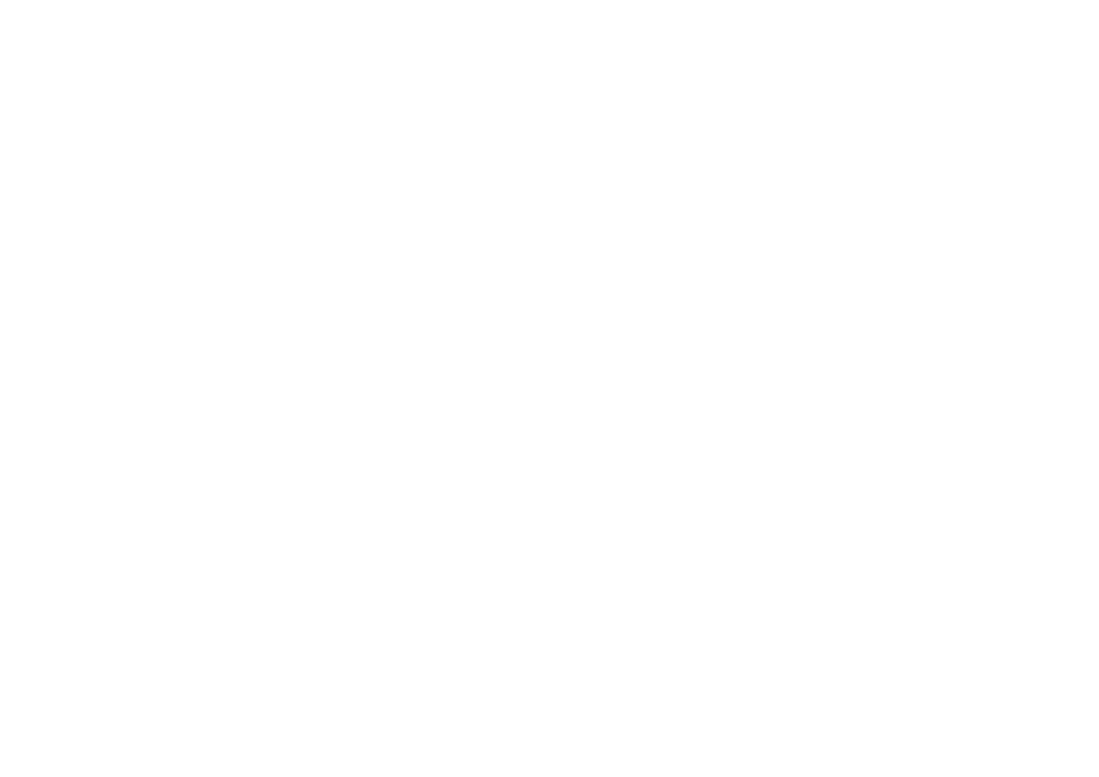 PICTURA